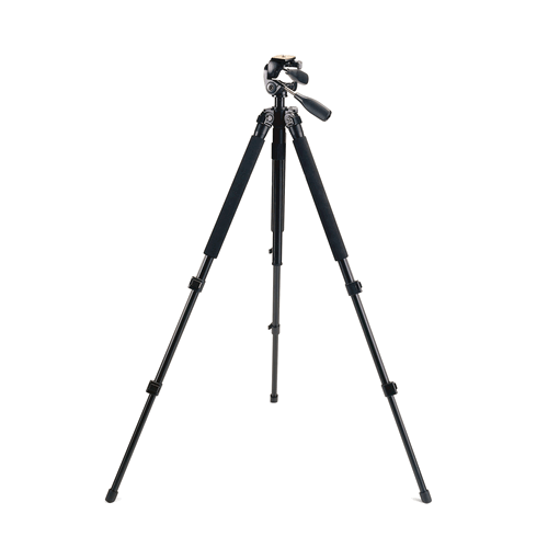 Titanium Tripod